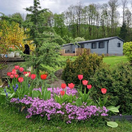 Chata Idylka - Nova Chata Se Zahradou Loučná nad Desnou Bagian luar foto